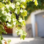 Weingut Martin Blass