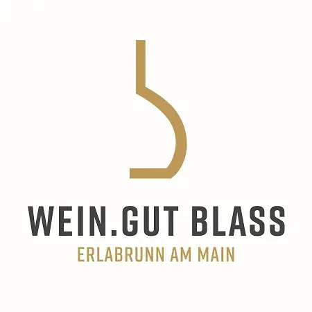 Penzion Weingut Martin Blass *