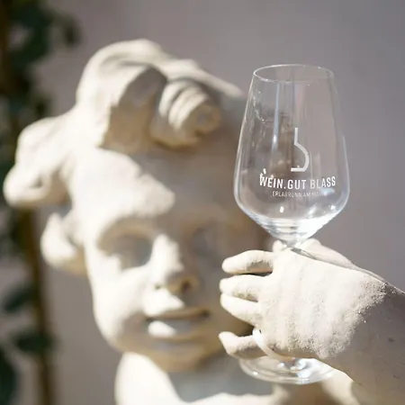 Weingut Martin Blass 3*
