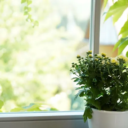 Weingut Martin Blass Maison d'hôtes 3*