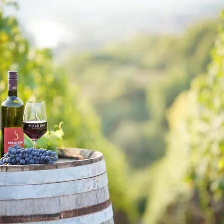 Weingut Martin Blass Guest house