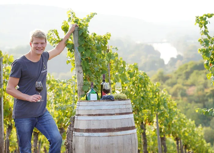 게스트하우스 Weingut Martin Blass 3*